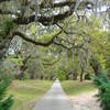 Myrtle_beach_2007_075_thumb