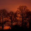 100_3574_thumb