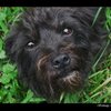 Pure_innocence_by_datanotfound_thumb