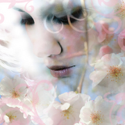 Spring_card