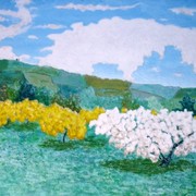 Campo_de_coin