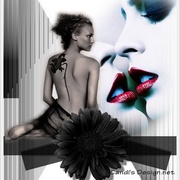 Elbeso_card