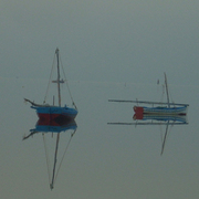 Photo-424_card