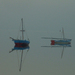 Photo-424_square