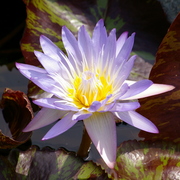 Imgp2159_card