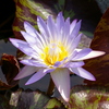 Imgp2159_thumb