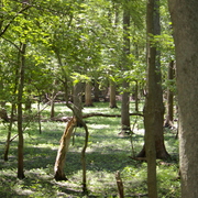 Imgp2208_card
