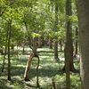 Imgp2208_thumb