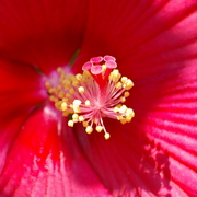 Imgp2224_2_card