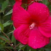 Imgp2145_2_card