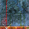 Across_bridges-small_thumb