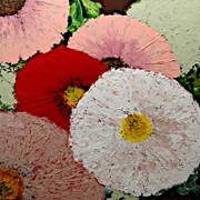 254_from_the_garden_card