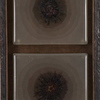 Brown_urchins_thumb