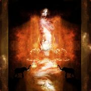 Wildlife_card