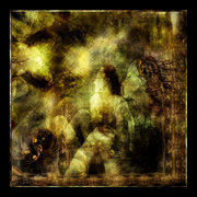 Searching_the_nature_in_us_card
