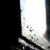 Sprinkled_thumb