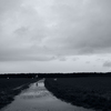 A_walk_in_the_rain_thumb