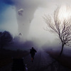 Migration_kopie_thumb