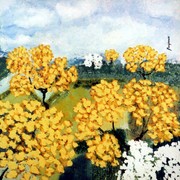 Jardines_de_kamala_card