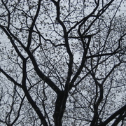 Img_0868_card