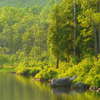 Basinpond_web_thumb