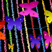 Butterfly_break_card