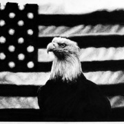 Patriotism_card