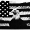 Patriotism_thumb