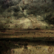15_card
