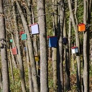 Vermont_birdhouses_card