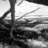100_5795_thumb