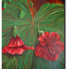 Hibiscis_thumb