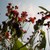 100_5439_tiny_square