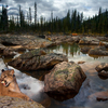 973-cougar_waters_thumb