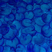 Sch-blue-450_card