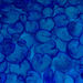 Sch-blue-450_square