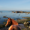 974b-new_jersey_shoreline_thumb