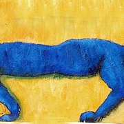 Catwalk_card