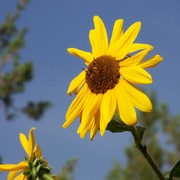 100_3176_card