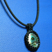 Abalone_square