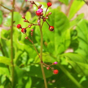 100_6087_card