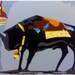 Nandi_i_square