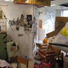 Q-fever_by_edwin_stolk_2008_thumb
