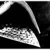Punta_y_taconb_w_thumb