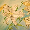 Summer_lilly_thumb