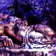 Bomarzo-pic_card