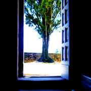 Duomo__tuscany_card