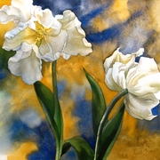 Double_withe_tulips_s_card
