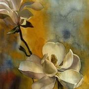 Spring_magnolia_s_card