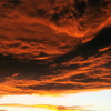 100_4643_thumb